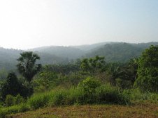 The Reserve of Lancetilla